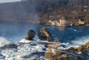 Rhine Falls & Stein am Rhein Private Day Trip