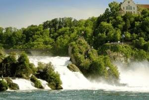 Rhine Falls & Stein am Rhein Private Day Trip