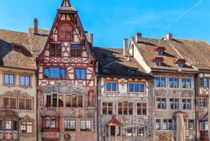 Rhine Falls & Stein am Rhein Private Day Trip