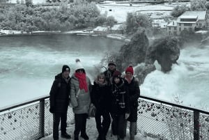 Rhine Falls & Stein am Rhein Private Day Trip