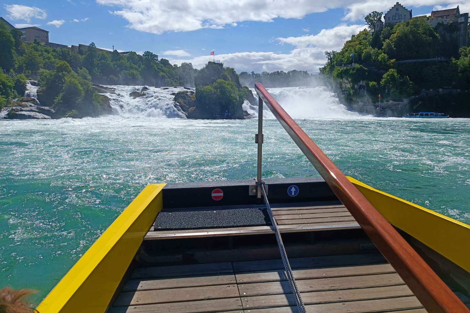 Wodospady Renu i Stein am Rhein: Prywatna wycieczka z lokalnym przewodnikiem