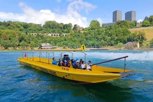 Wodospady Renu i Stein am Rhein: Prywatna wycieczka z lokalnym przewodnikiem