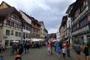 Wodospady Renu i Stein am Rhein: Prywatna wycieczka z lokalnym przewodnikiem