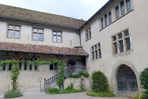 Wodospady Renu i Stein am Rhein: Prywatna wycieczka z lokalnym przewodnikiem