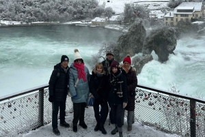 From Zurich: Rhine Falls & Stein am Rhein Private Day Trip