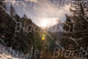 ST MORIT:BLACKLUX TRANSFER VAN ST MORITZ NAAR LUCHTHAVEN ZURICH