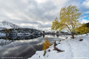 ST MORIT:BLACKLUX TRANSFER VAN ST MORITZ NAAR LUCHTHAVEN ZURICH