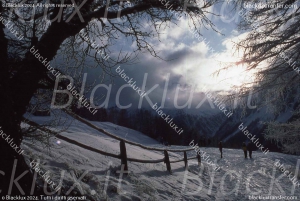 ST MORIT:BLACKLUX TRANSFER FROM ST MORITZ TO AIRPORT ZURICH