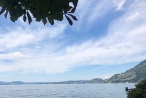 Schweizer Highlights: Geführte Tour durch Zürich, Luzern und Basel