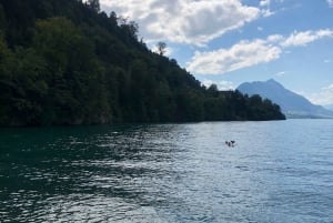 Schweizer Highlights: Geführte Tour durch Zürich, Luzern und Basel