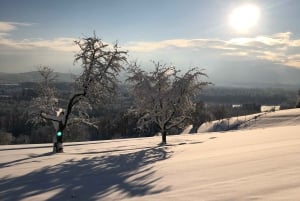 Schweizer Highlights: Geführte Tour durch Zürich, Luzern und Basel
