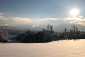 Schweizer Highlights: Geführte Tour durch Zürich, Luzern und Basel