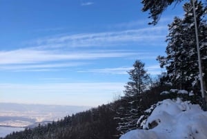 Schweizer Highlights: Geführte Tour durch Zürich, Luzern und Basel