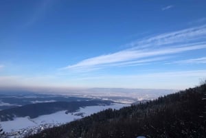 Schweizer Highlights: Geführte Tour durch Zürich, Luzern und Basel