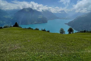 Schweizer Highlights: Geführte Tour durch Zürich, Luzern und Basel