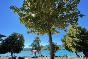 Schweizer Highlights: Geführte Tour durch Zürich, Luzern und Basel