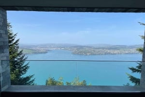 Schweizer Highlights: Geführte Tour durch Zürich, Luzern und Basel