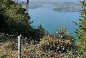 Schweizer Highlights: Geführte Tour durch Zürich, Luzern und Basel