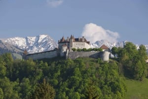 Swiss Travel Pass Flex:All-in-One travel pass-train,bus,boat