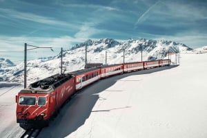 Swiss Travel Pass-turer – tilpassbar reiserute – privat guide