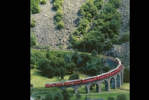 Swiss Travel Pass-turer – tilpassbar reiserute – privat guide