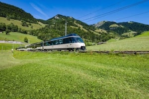 Swiss Travel Pass-turer – tilpassbar reiserute – privat guide