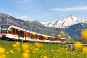 Swiss Travel Pass-turer – tilpassbar reiserute – privat guide