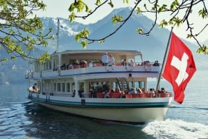 Swiss Travel Pass-turer – tilpassbar reiserute – privat guide