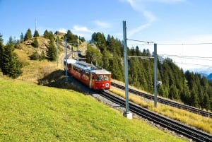 Swiss Travel Pass-turer – tilpassbar reiserute – privat guide