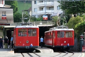 Swiss Travel Pass-turer – tilpassbar reiserute – privat guide