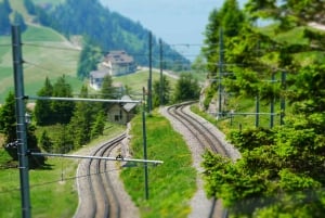 Swiss Travel Pass-turer – tilpassbar reiserute – privat guide