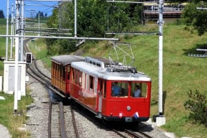 Swiss Travel Pass-turer – tilpassbar reiserute – privat guide