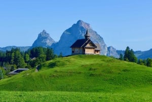 Swiss Travel Pass-turer – tilpassbar reiserute – privat guide