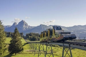 Swiss Travel Pass-turer – tilpassbar reiserute – privat guide