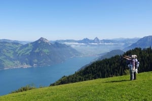 Swiss Travel Pass-turer – tilpassbar reiserute – privat guide