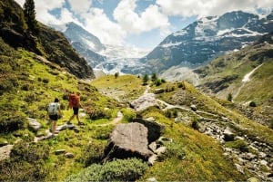 Swiss Travel Pass-turer – tilpassbar reiserute – privat guide