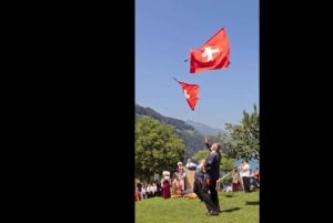 Swiss Travel Pass-turer – tilpassbar reiserute – privat guide