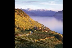 Swiss Travel Pass-turer – tilpassbar reiserute – privat guide