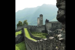 Swiss Travel Pass-turer – tilpassbar reiserute – privat guide