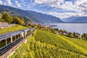 Swiss Travel Pass: Unlimited Travel on Train, Bus & Boat