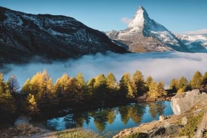 Schweiz: Nye 2for1-tilbud Digital Swiss Coupon Pass 2025