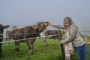 Schweiz: 3-dages privat tur med billeder og dronevideoer