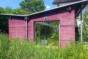 Svizzera: Esperienza culinaria a casa di un locale