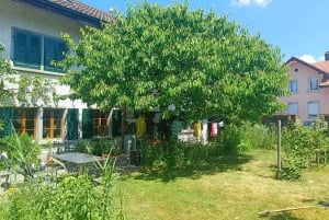 Svizzera: Esperienza culinaria a casa di un locale