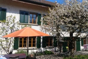 Svizzera: Esperienza culinaria a casa di un locale