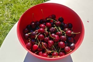 Svizzera: Esperienza culinaria a casa di un locale