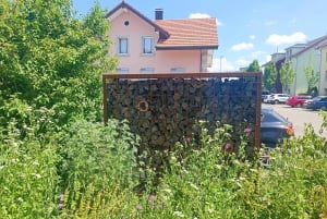 Svizzera: Esperienza culinaria a casa di un locale