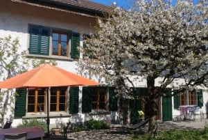 Schweiz: Middagsupplevelse hemma hos en lokalbo