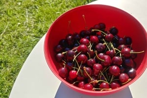 Schweiz: Middagsupplevelse hemma hos en lokalbo