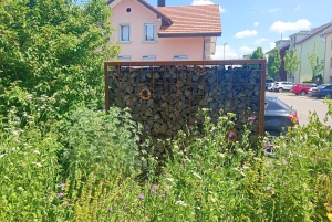 Schweiz: Middagsupplevelse hemma hos en lokalbo